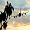 Tropical paradise holiday - Airplane flying over amazing sunset